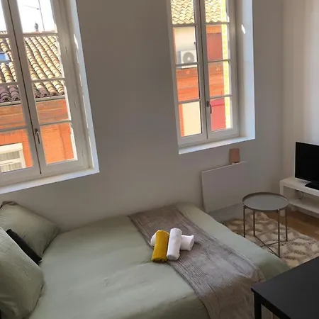 Apartment Le Cygne Blanc Toulouse